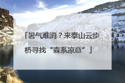暑气难消？来泰山云步桥寻找“森系凉意”