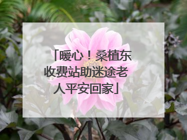 暖心！桑植东收费站助迷途老人平安回家