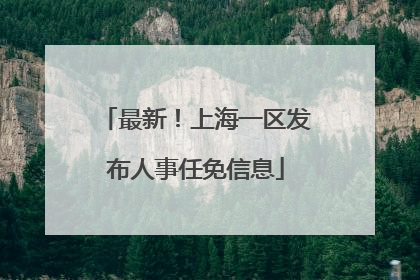 最新！上海一区发布人事任免信息