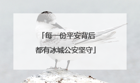 每一份平安背后 都有冰城公安坚守