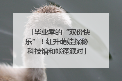 毕业季的“双份快乐”！红升萌娃探秘科技馆和帐篷派对