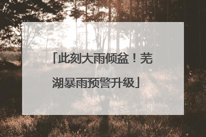 此刻大雨倾盆！芜湖暴雨预警升级