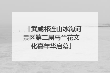 武威祁连山冰沟河景区第二届马兰花文化嘉年华启幕
