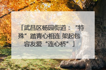 武昌区杨园街道：“特殊”踏青心相连 架起包容友爱“连心桥”
