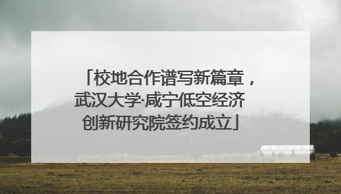校地合作谱写新篇章，武汉大学·咸宁低空经济创新研究院签约成立