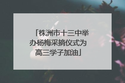 株洲市十三中举办杨梅采摘仪式为高三学子加油