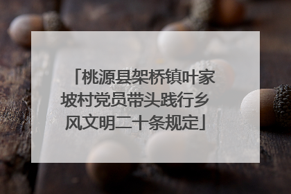 桃源县架桥镇叶家坡村党员带头践行乡风文明二十条规定