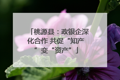 桃源县：政银企深化合作 共促“知产”变“资产”