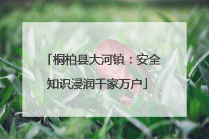 桐柏县大河镇：安全知识浸润千家万户