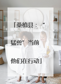 桑植县：“猛兽”当前 他们在行动