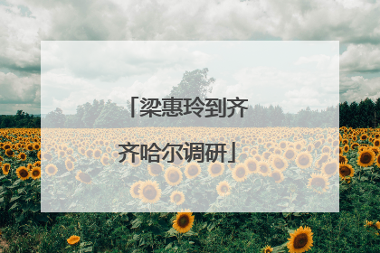 梁惠玲到齐齐哈尔调研