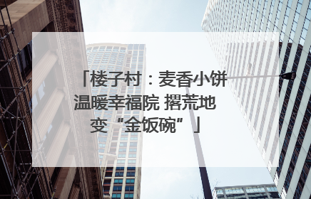 楼子村：麦香小饼温暖幸福院 撂荒地变“金饭碗”