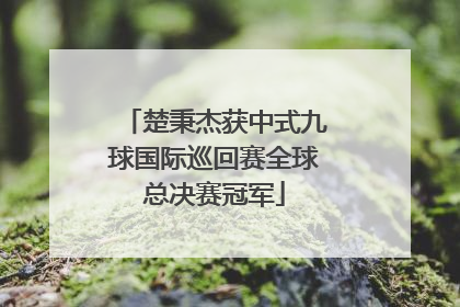 楚秉杰获中式九球国际巡回赛全球总决赛冠军