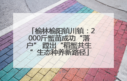 榆林榆阳镇川镇：2000斤蟹苗成功“落户” 蹚出“稻蟹共生”生态种养新路径