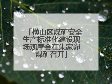 横山区煤矿安全生产标准化建设现场观摩会在朱家峁煤矿召开