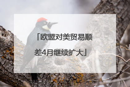 欧盟对美贸易顺差4月继续扩大