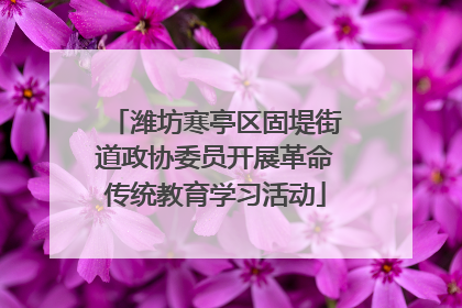 潍坊寒亭区固堤街道政协委员开展革命传统教育学习活动