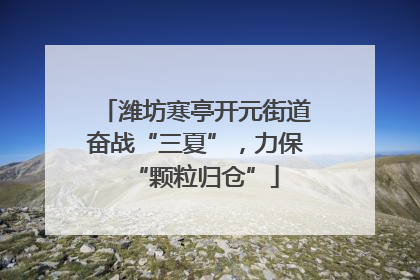 潍坊寒亭开元街道奋战“三夏”，力保“颗粒归仓”