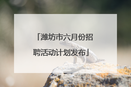 潍坊市六月份招聘活动计划发布