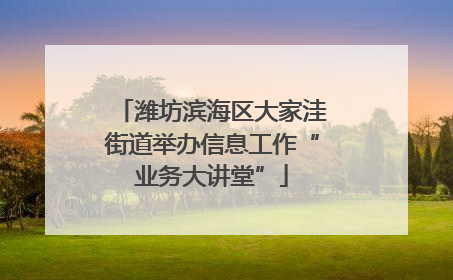 潍坊滨海区大家洼街道举办信息工作“业务大讲堂”