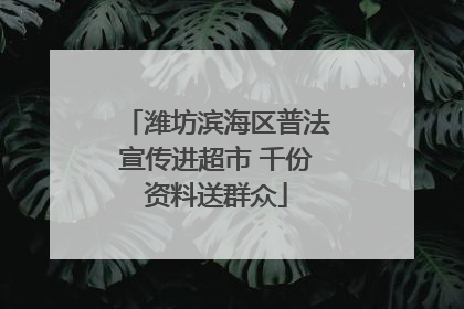 潍坊滨海区普法宣传进超市 千份资料送群众