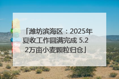 潍坊滨海区：2025年夏收工作圆满完成 5.22万亩小麦颗粒归仓