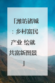 潍坊诸城：乡村富民产业 绘就共富新图景