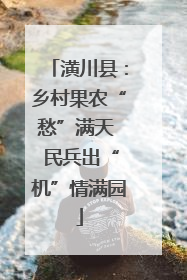 潢川县：乡村果农“愁”满天  民兵出“机”情满园