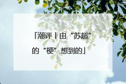 潮评丨由“苏超”的“梗”想到的