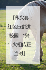 永兴县：红色宣讲进校园 “兴”火相传正当时
