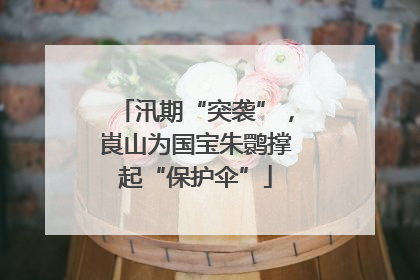 汛期“突袭”，崀山为国宝朱鹮撑起“保护伞”