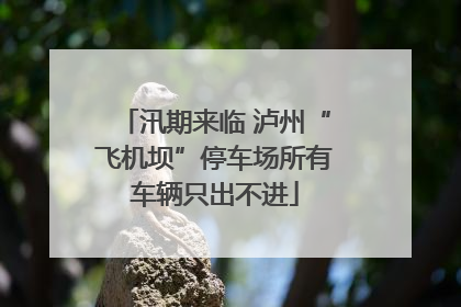 汛期来临 泸州“飞机坝”停车场所有车辆只出不进