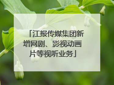 江报传媒集团新增网剧、影视动画片等视听业务