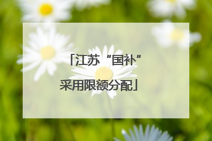 江苏“国补”采用限额分配