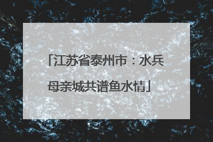 江苏省泰州市：水兵母亲城共谱鱼水情