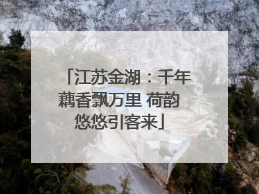江苏金湖：千年藕香飘万里 荷韵悠悠引客来