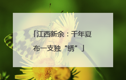 江西新余：千年夏布一支独“绣”