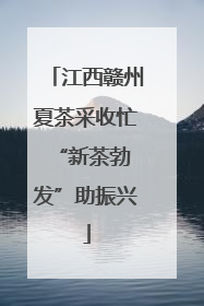 江西赣州夏茶采收忙 “新茶勃发”助振兴