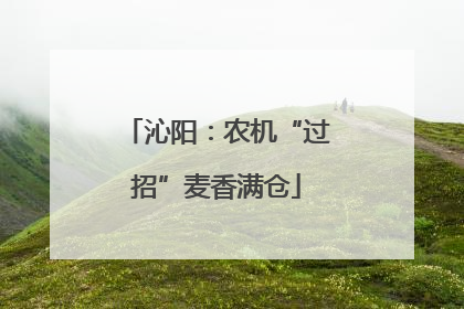 沁阳：农机“过招”麦香满仓