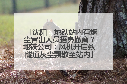 沈阳一地铁站内有烟尘冒出人员捂鼻撤离？地铁公司：风机开启致隧道灰尘飘散至站内