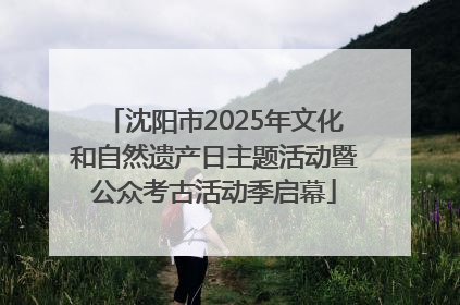 沈阳市2025年文化和自然遗产日主题活动暨公众考古活动季启幕