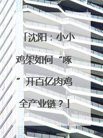 沈阳：小小鸡架如何“啄”开百亿肉鸡全产业链？