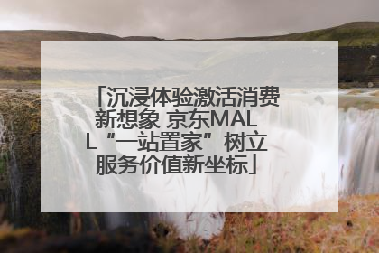 沉浸体验激活消费新想象 京东MALL“一站置家”树立服务价值新坐标