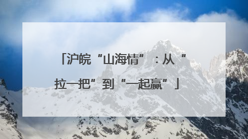 沪皖“山海情”：从“拉一把”到“一起赢”