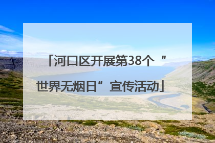 河口区开展第38个“世界无烟日”宣传活动