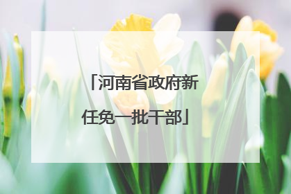 河南省政府新任免一批干部