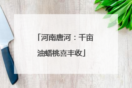 河南唐河：千亩油蟠桃喜丰收