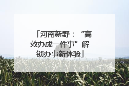 河南新野：“高效办成一件事”解锁办事新体验