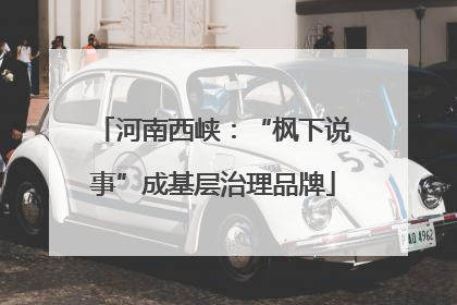 河南西峡：“枫下说事”成基层治理品牌