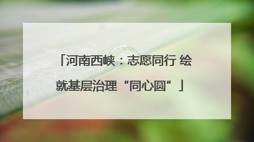 河南西峡：志愿同行 绘就基层治理“同心圆”